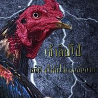 BBบุรพลฟาร์ม ป่าก๋อยตีหลัง