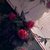 原神 薔薇限定 緩也 ＿＿＿ 🥀☪︎