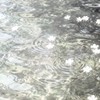 やっぱり傍には君じゃなくちゃダメだな twst愛重ハント緩也
