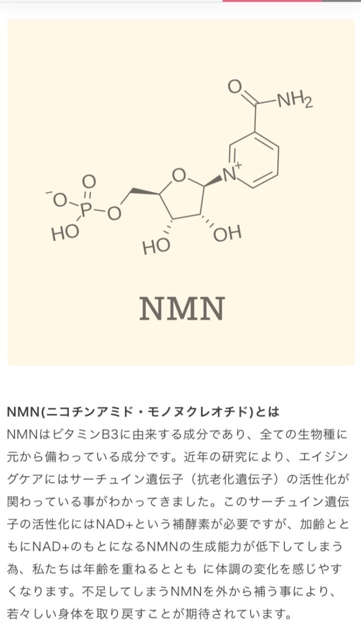 全てのNMNサプリ体験談雑談💖