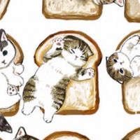 愛貓族🐱