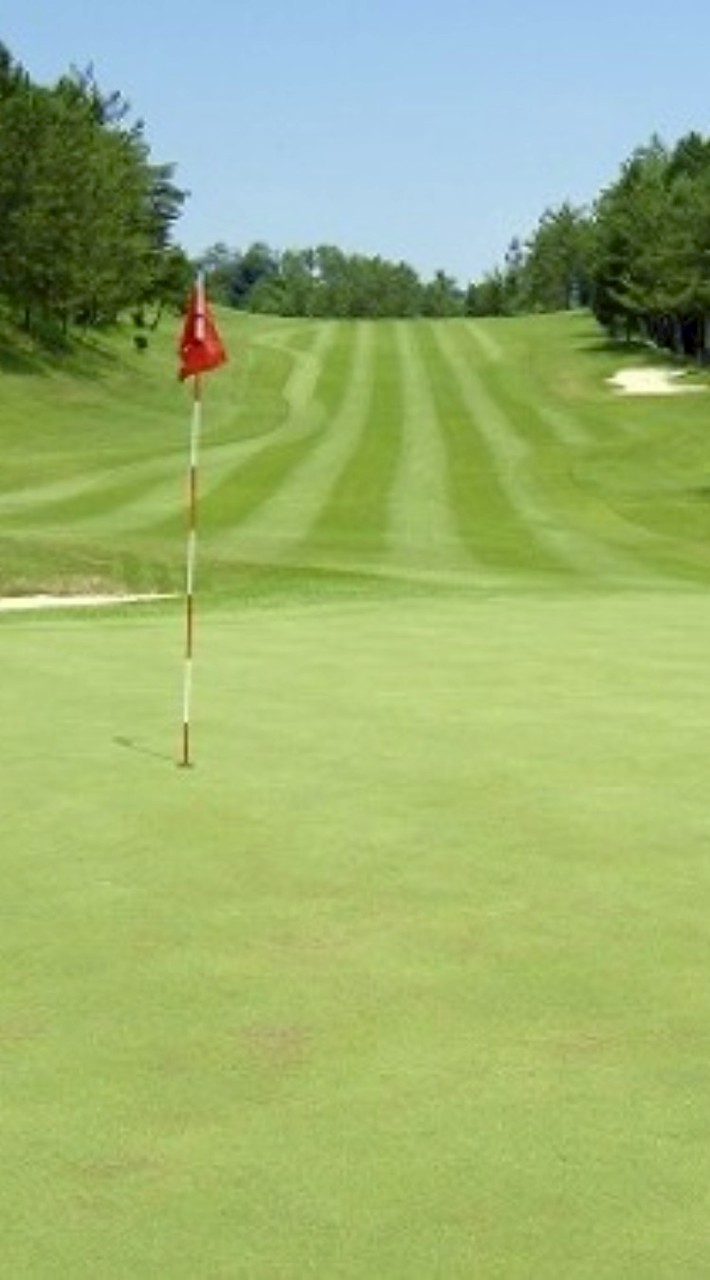 ⛳ゴルフ友の輪