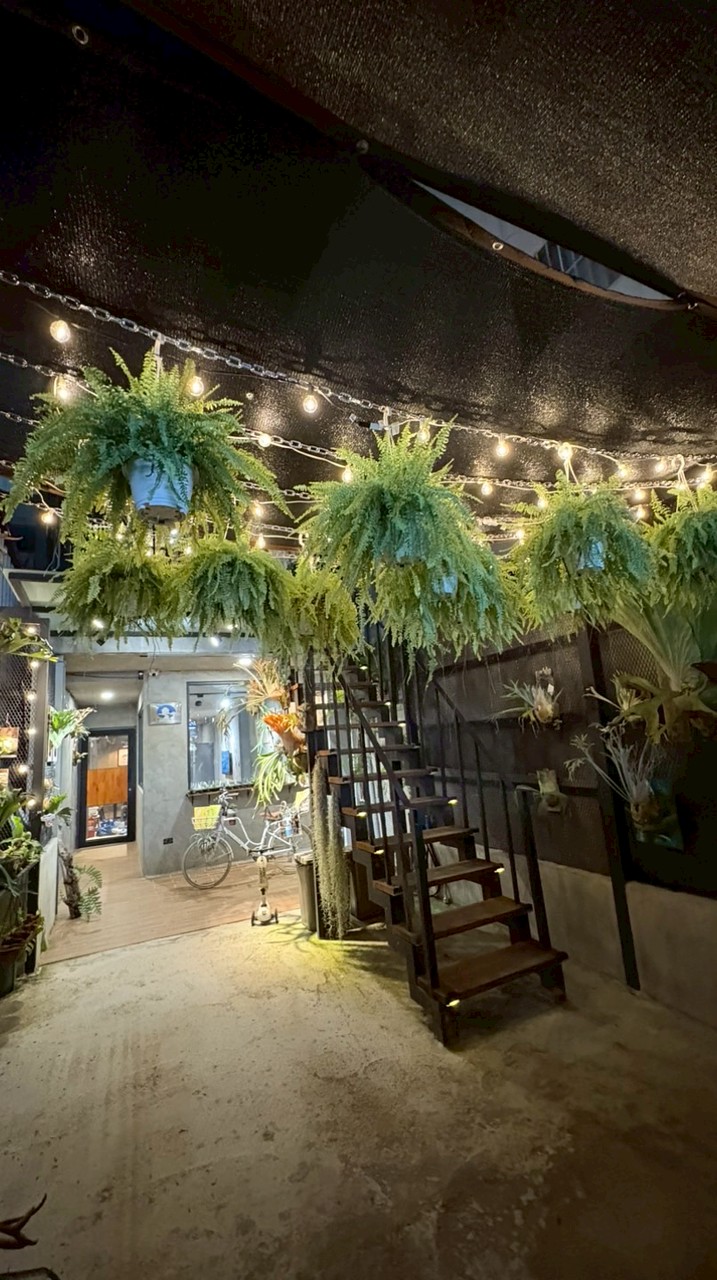 植蕨生活、植蕨行旅