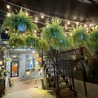植蕨生活、植蕨行旅