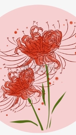 天神👸彼岸花🌸殺豬小隊