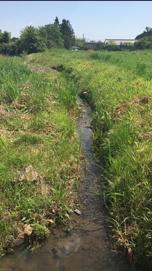 なまえはまだないのオープンチャット