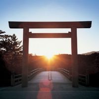 『天照杯』（モルック）