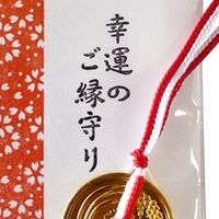 脳脊髄液漏出症,脳脊髄液減少症の子供を持つ保護者の皆さま【保護者限定】