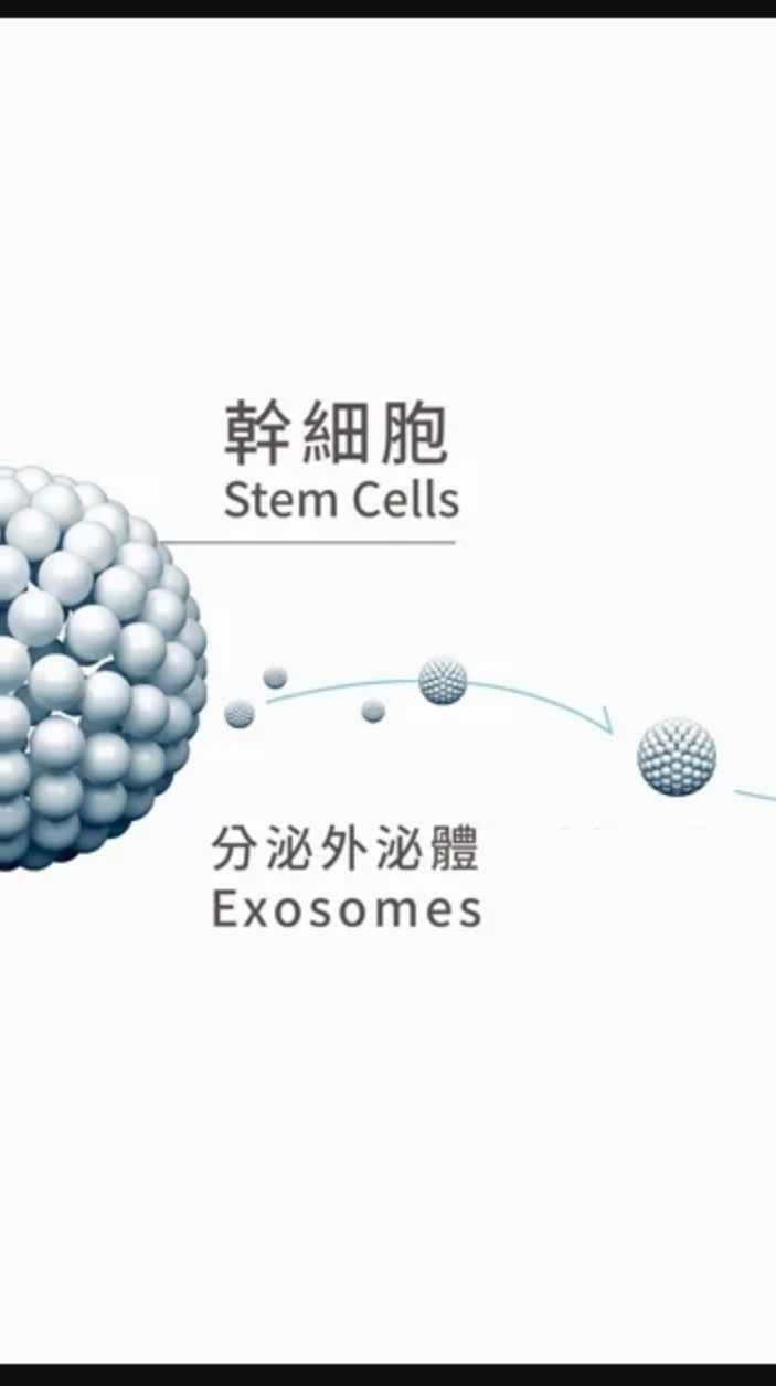 外秘體抗衰老討論群