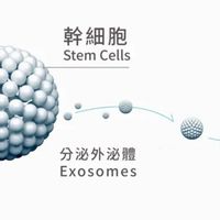 外秘體抗衰老討論群