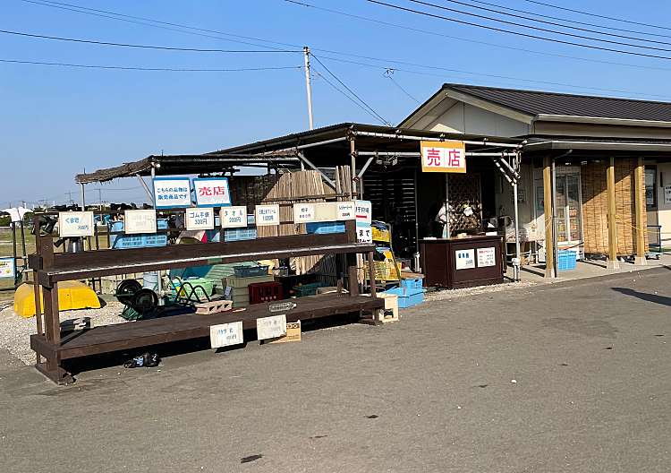 金田みたて海岸潮干狩り場 かねだみたてかいがんしおひがりじょう 中島 潮干狩り By Line Place