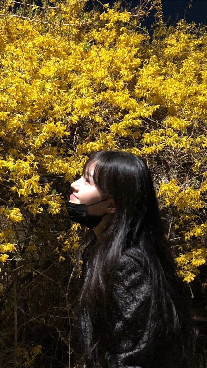 채현 응원단🐰♡
