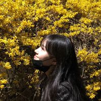 채현 응원단🐰♡