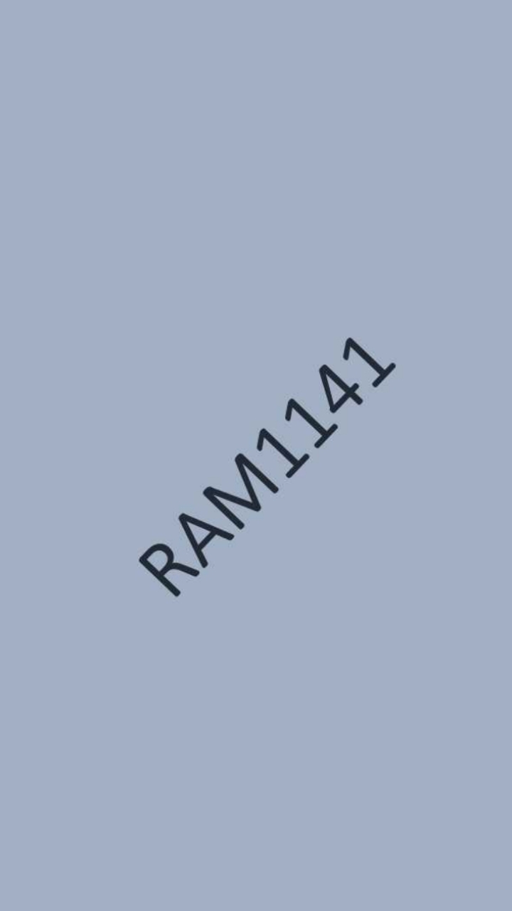 RAM1141