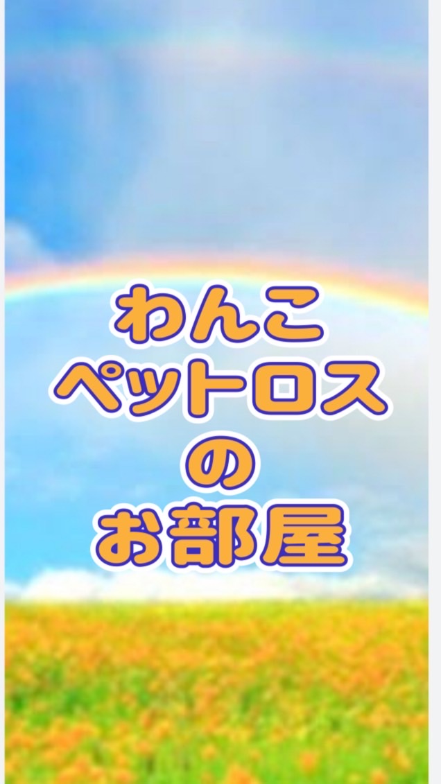 ペットロスのお部屋🌈ワンコ限定です🌈