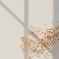 愛彌兒慎齋幼兒園-中科分校家長交流區