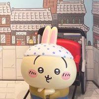 🇯🇵日本吉讚現地/線上代購🛒
