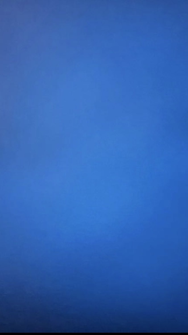 ゆりまる軍〆