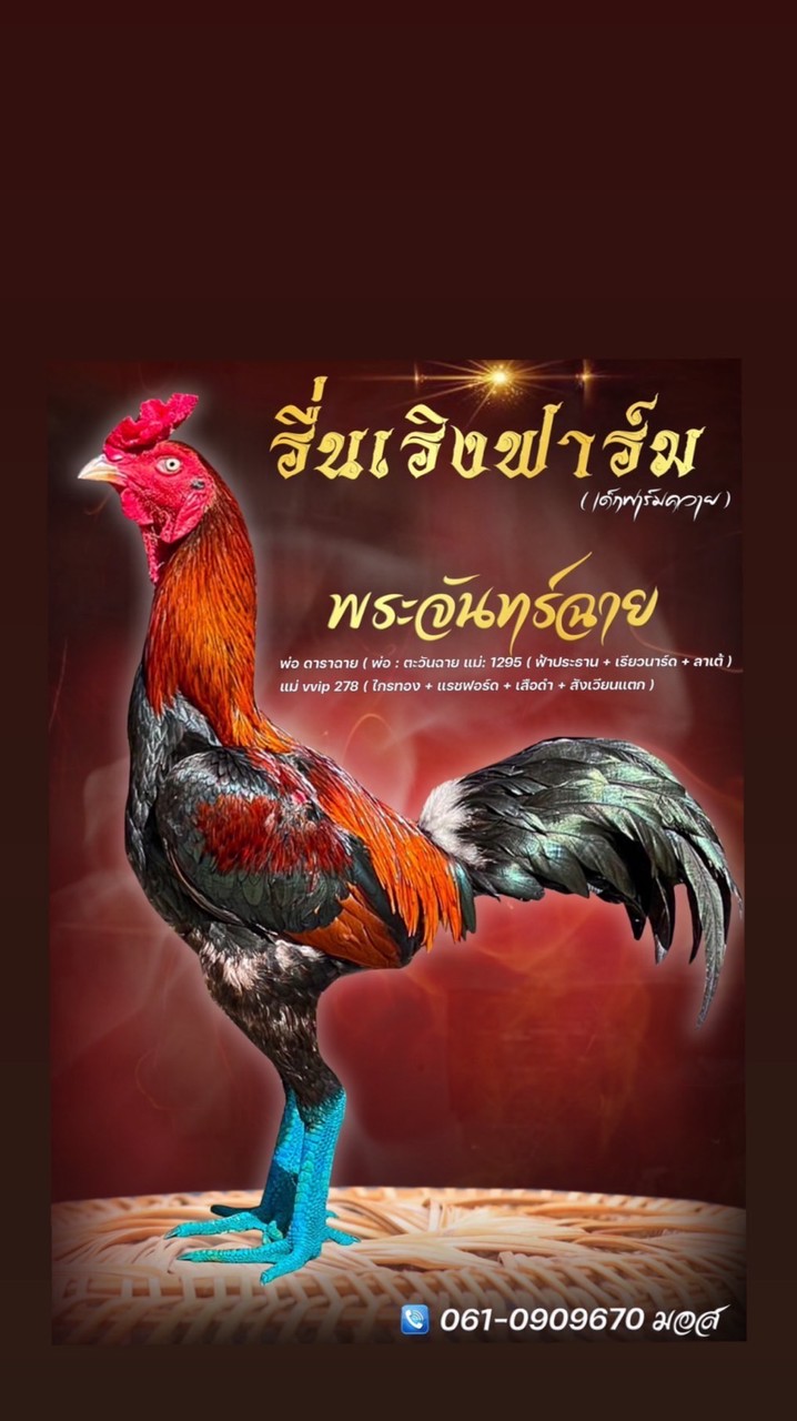 รื่นเริงฟาร์ม