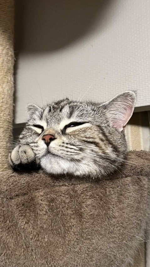2026広める会