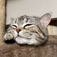 2026広める会