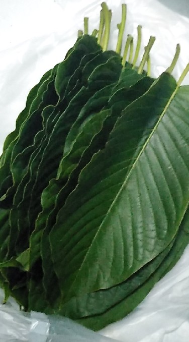 มีIUบอกด้วย PHK🍃🍃