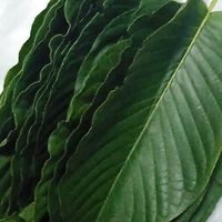 มีIUบอกด้วย PHK🍃🍃