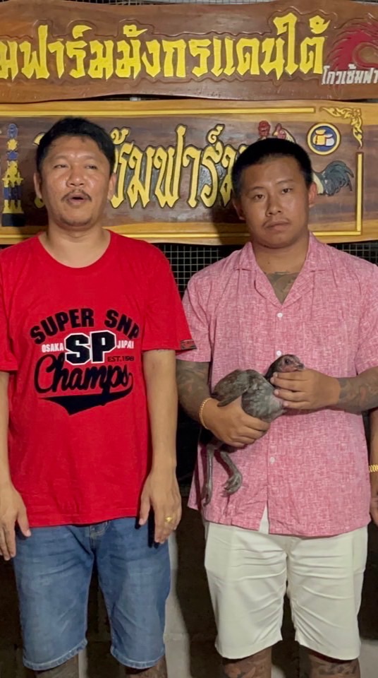 ซุ้ม ซุปเปอร์เฟิร์ส🐉🐲🐉