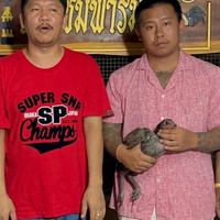 ซุ้ม ซุปเปอร์เฟิร์ส🐉🐲🐉