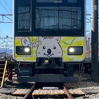 本線新宿のオプ