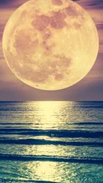 🌕 満月のフォーチュン🌙*ﾟꕀ☪︎*·̩͙          50代.60代雑談room 恋バナも🤔？