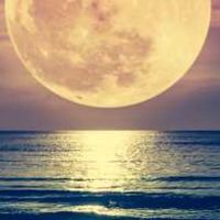 🌕 満月のフォーチュン🌙*ﾟꕀ☪︎*·̩͙          50代.60代雑談room 恋バナも🤔？