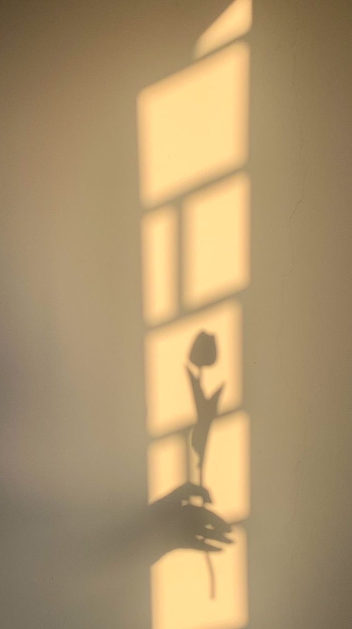 🌱婚姻如戲。全靠演技🌿已婚離婚限定30+50-2.0版