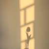 🌱婚姻如戲。全靠演技🌿已婚離婚限定30+50-2.0版