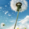 みんなでそうだん