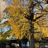 新竹市北門國小