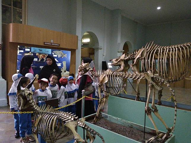 Lipi To Allocate Up To Rp 20b To Explore Unidentified Species