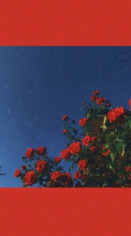 [โรงน้ำชา|𝚔𝚒𝚖𝚎𝚝𝚜𝚞 𝚗𝚘 𝚢𝚊𝚒𝚋𝚊]