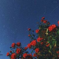[โรงน้ำชา|𝚔𝚒𝚖𝚎𝚝𝚜𝚞 𝚗𝚘 𝚢𝚊𝚒𝚋𝚊]
