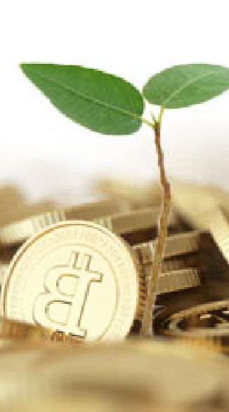 Bitcoins (Crypto Currency)
