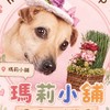 溫馨的瑪莉小舖