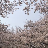 特支二種免許　取得・相談ルーム