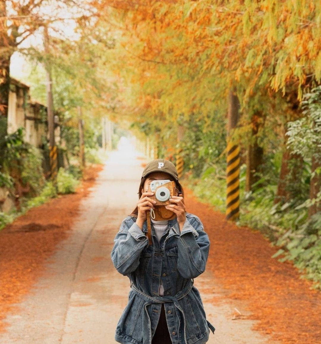 圖片來源/魚塘路落羽松秘境-LINE熱點用戶