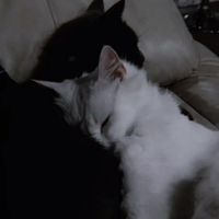 早く僕に気づいて♥⌒旧戦争屋緩也