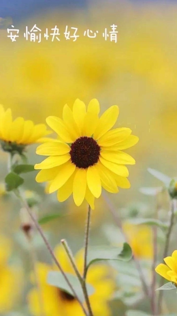 B組新生拈花惹草