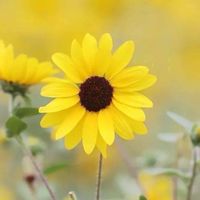 B組新生拈花惹草