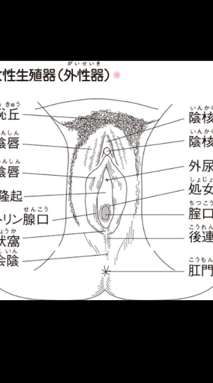 医療系学生（真面目な話禁止）のオープンチャット