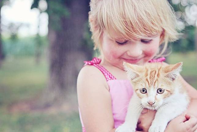 Siap Grak! Arti Mimpi Anak Kucing Ternyata Tidaklah Selalu 