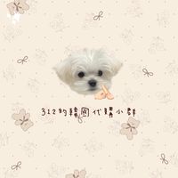 312的韓國代購小群