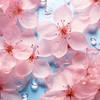 片柳学園 学生寮手伝い隊